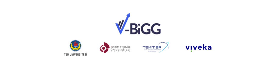 TÜBİTAK BİGG - TED Üniversitesi